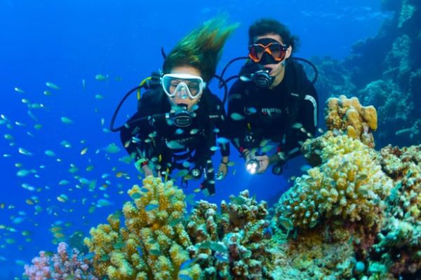 Scuba Diving